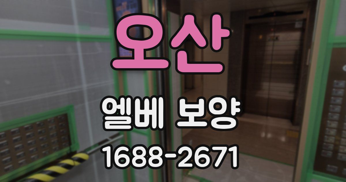 오산 엘베 보양