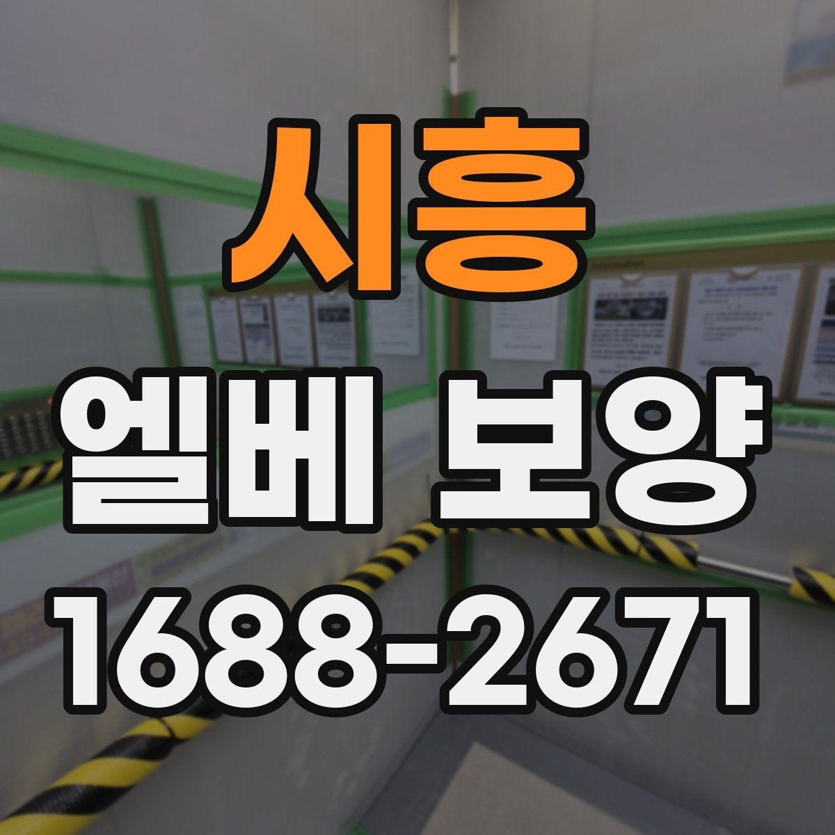 시흥 엘베 보양 장비 반입이 잦을 때 충격 대응 방법