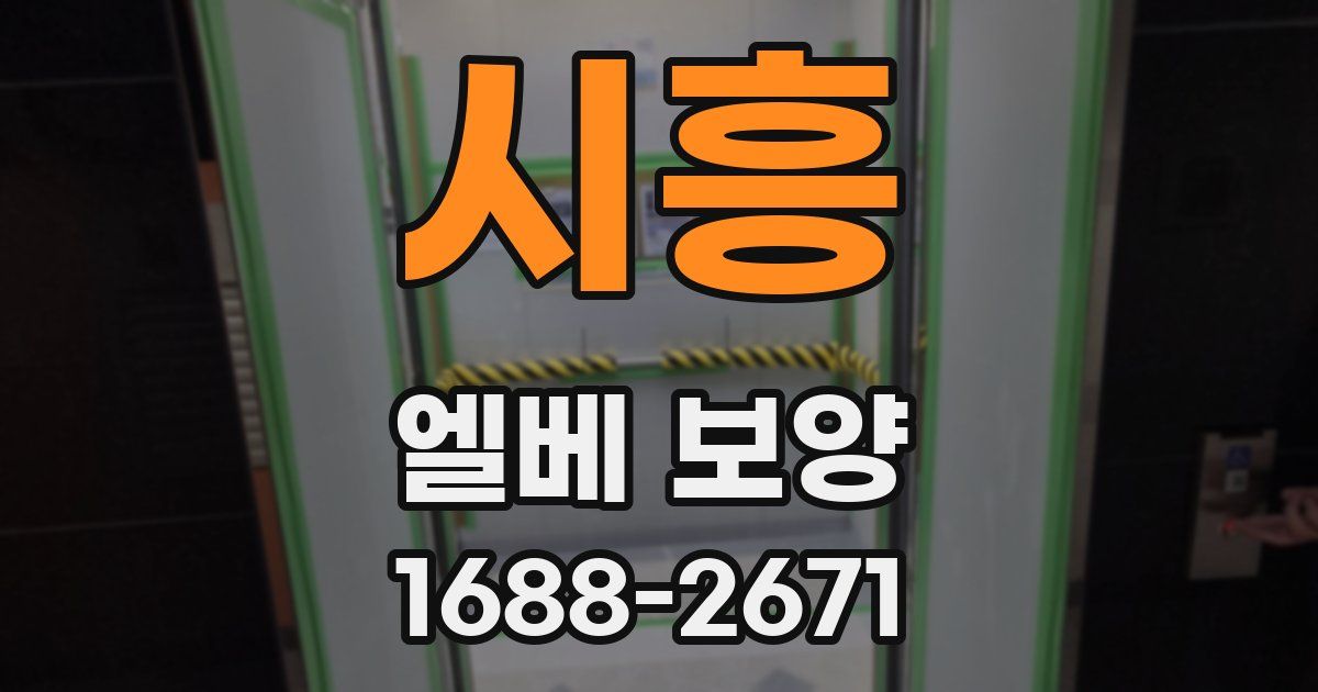 시흥 엘베 보양