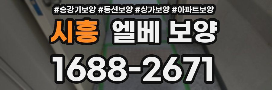 시흥 엘베 보양