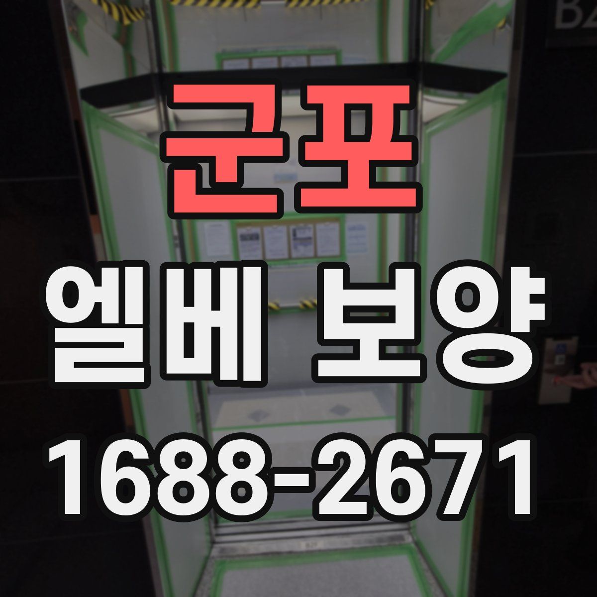 군포 엘베 보양