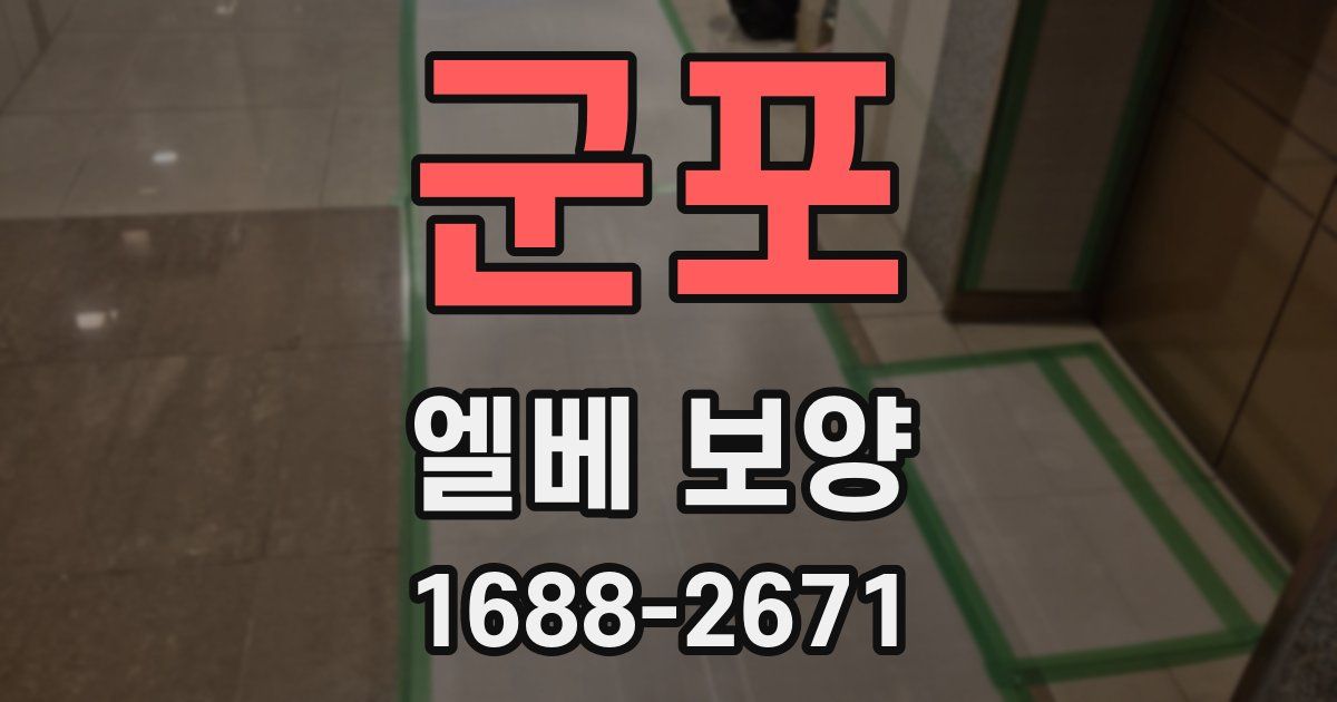군포 엘베 보양