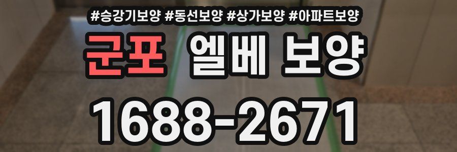 군포 엘베 보양