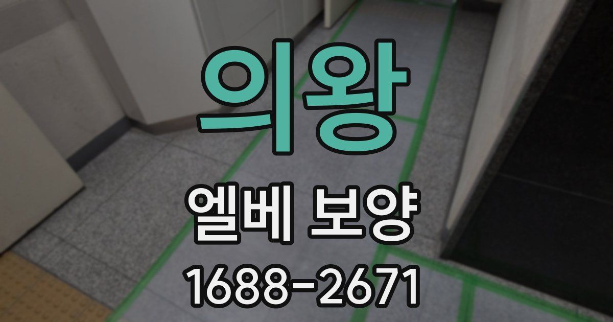 의왕 엘베 보양
