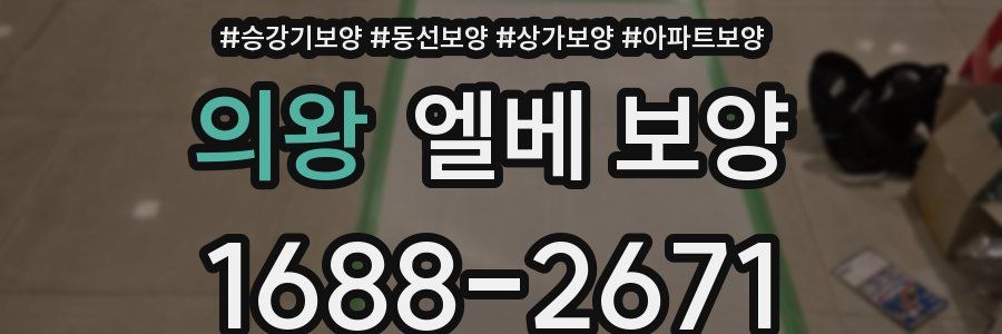 의왕 엘베 보양