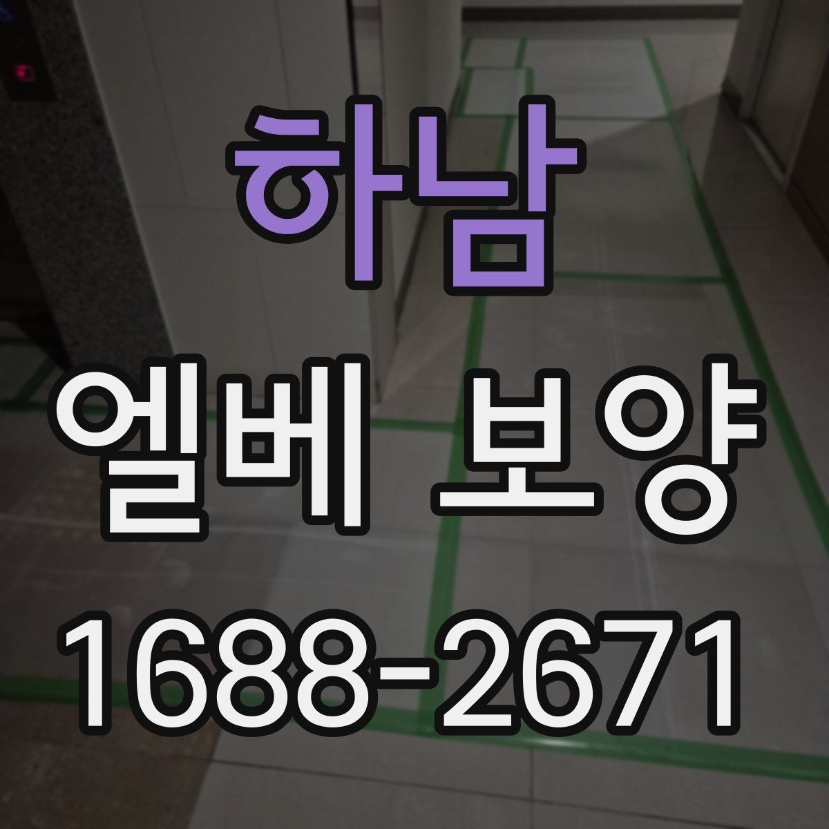 하남 엘베 보양 보양재 종류별 쓰임과 현장 선택 기준