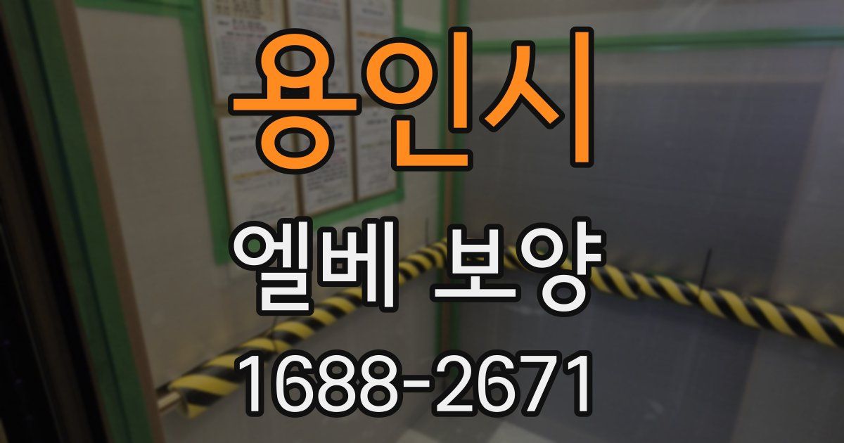 용인시 엘베 보양