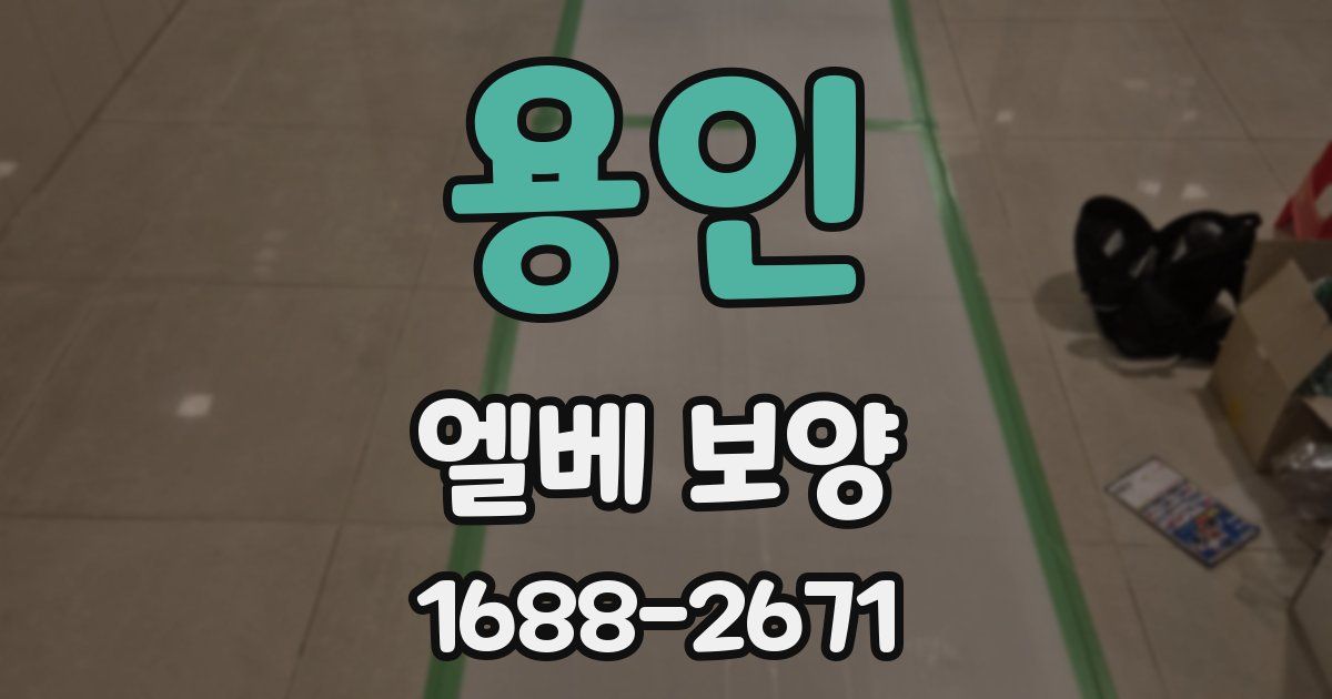 용인 엘베 보양