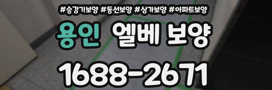 용인 엘베 보양
