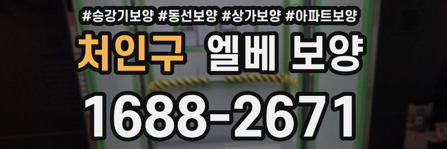 처인구 엘베 보양
