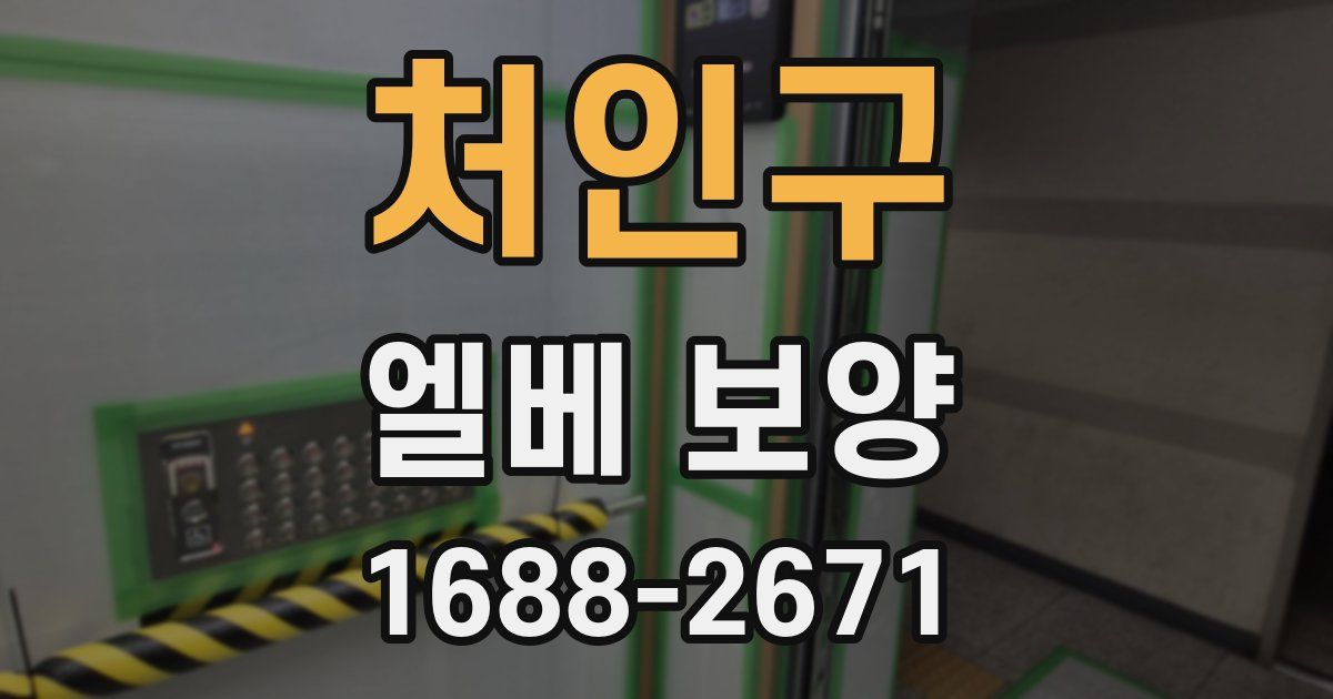 처인구 엘베 보양