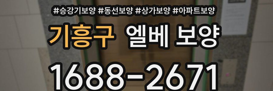 기흥구 엘베 보양
