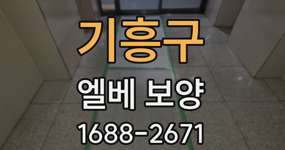 기흥구 엘베 보양