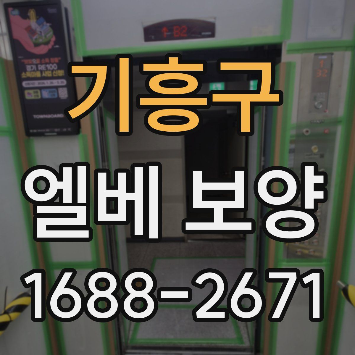 기흥구 엘베 보양