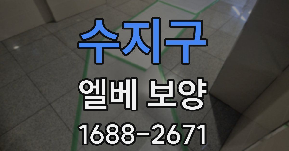 수지구 엘베 보양