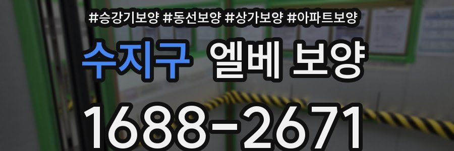 수지구 엘베 보양