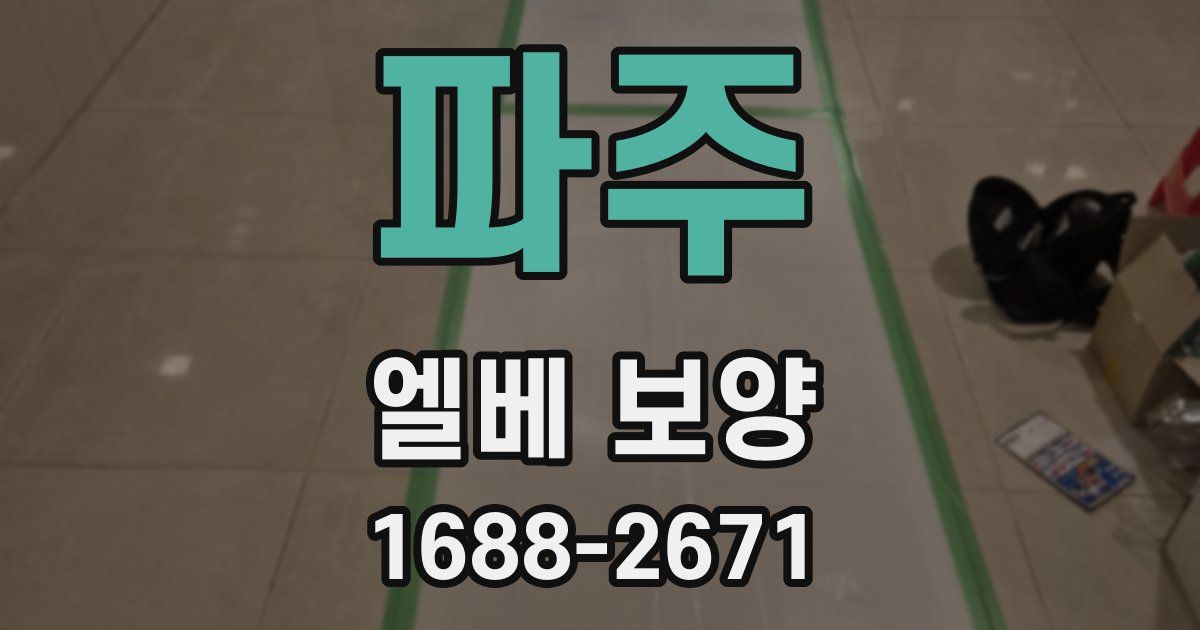 파주 엘베 보양