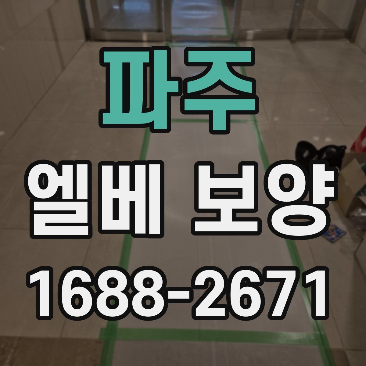 파주 엘베 보양