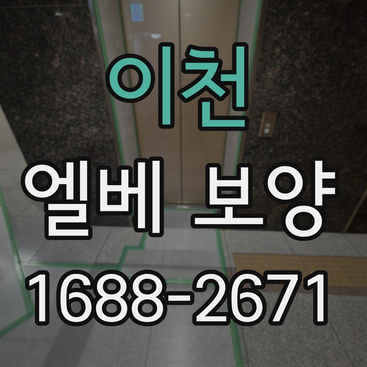 이천 엘베 보양