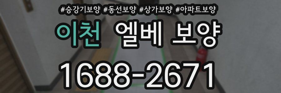 이천 엘베 보양