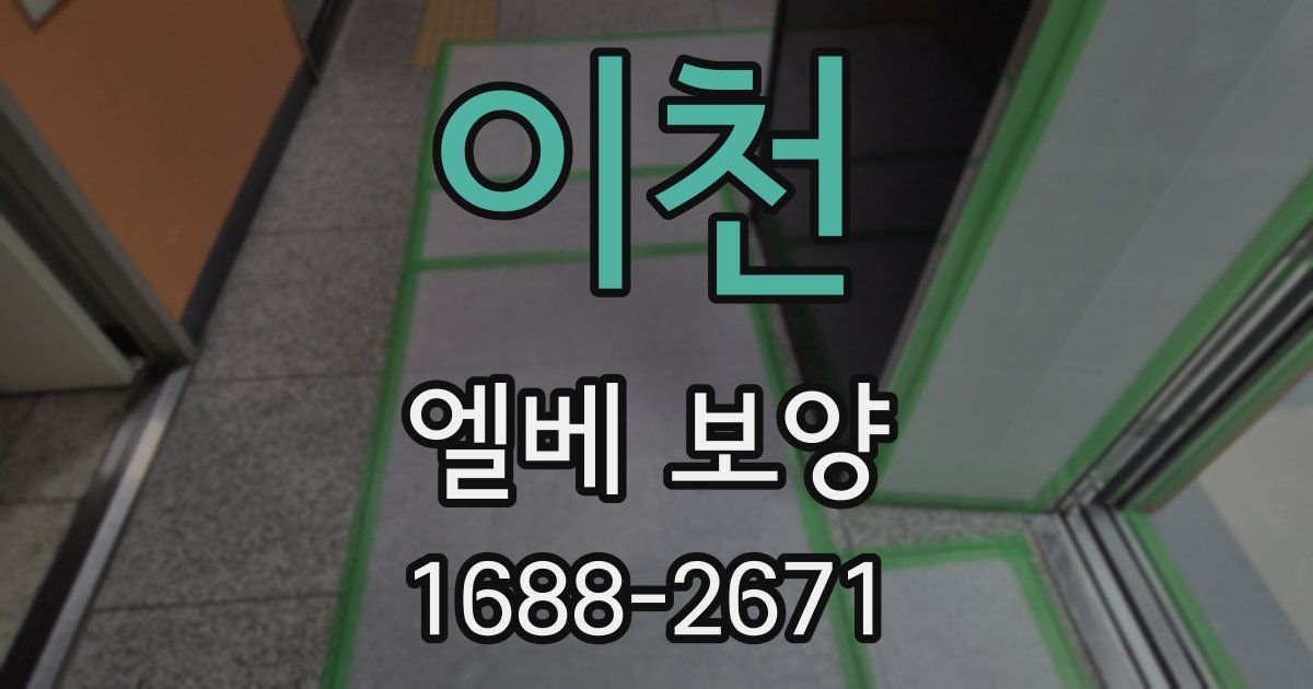 이천 엘베 보양