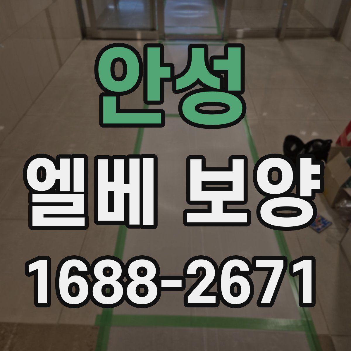 안성 엘베 보양