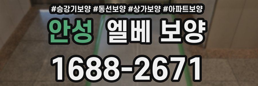 안성 엘베 보양