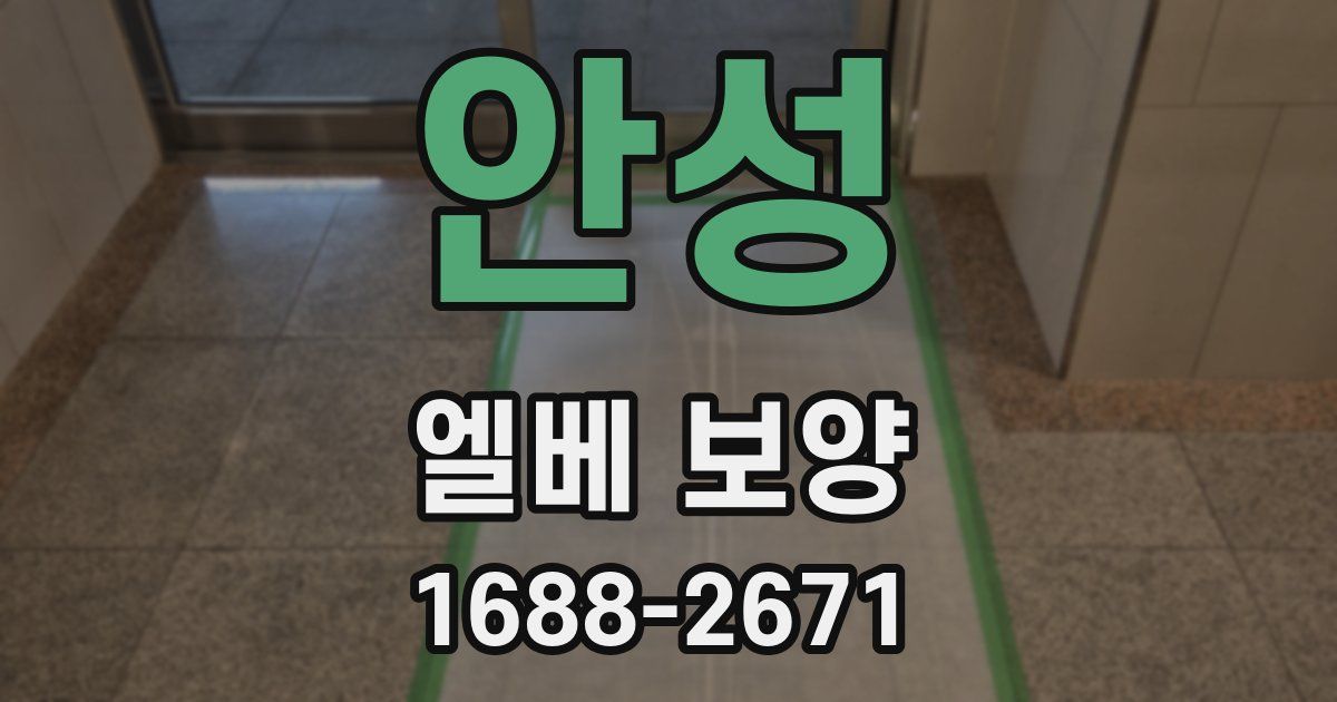 안성 엘베 보양