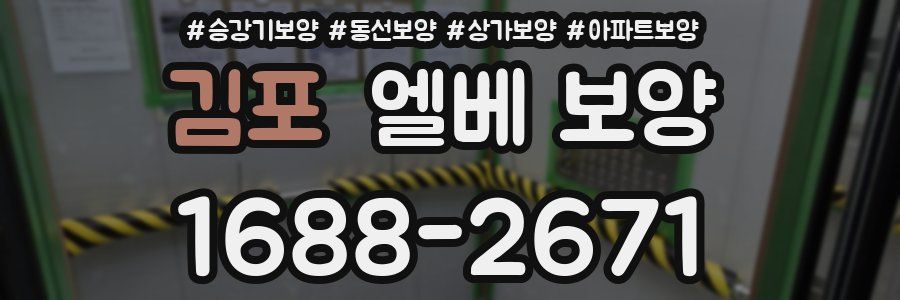 김포 엘베 보양