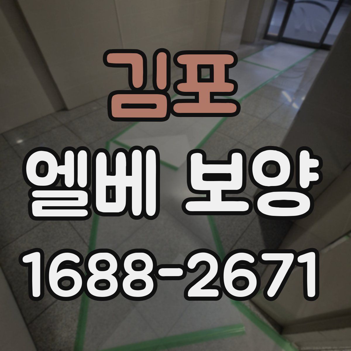 김포 엘베 보양