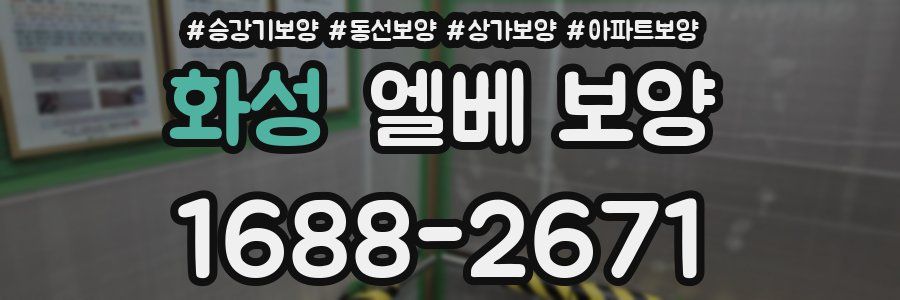 화성 엘베 보양