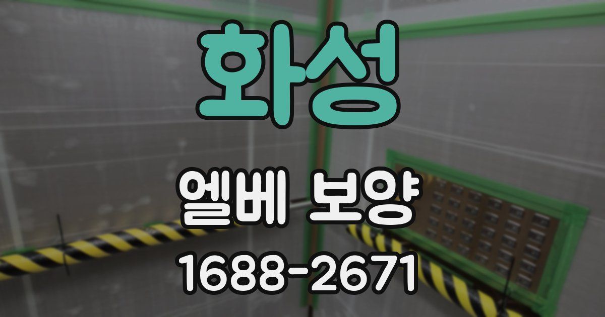 화성 엘베 보양