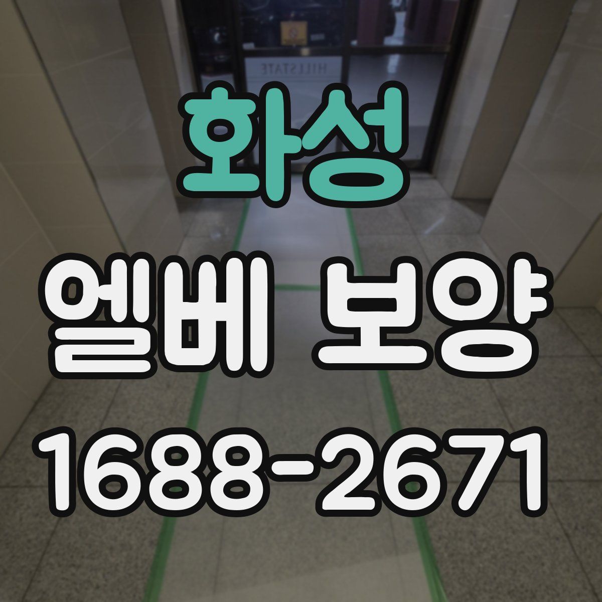 화성 엘베 보양