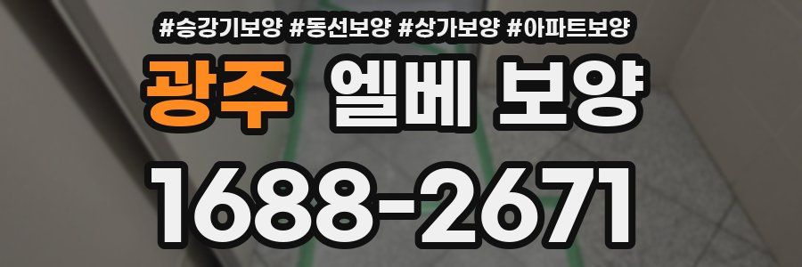 광주 엘베 보양