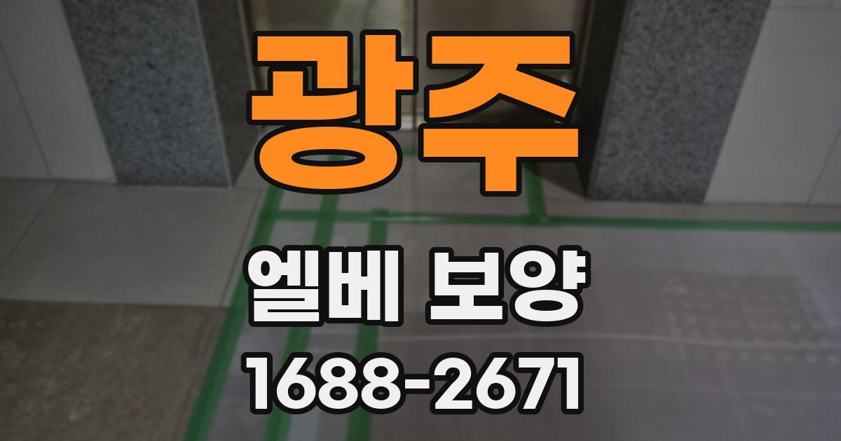 광주 엘베 보양