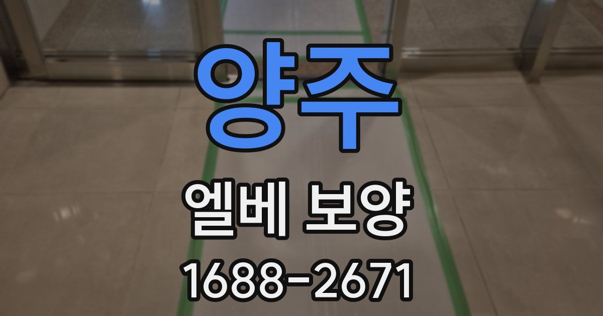 양주 엘베 보양