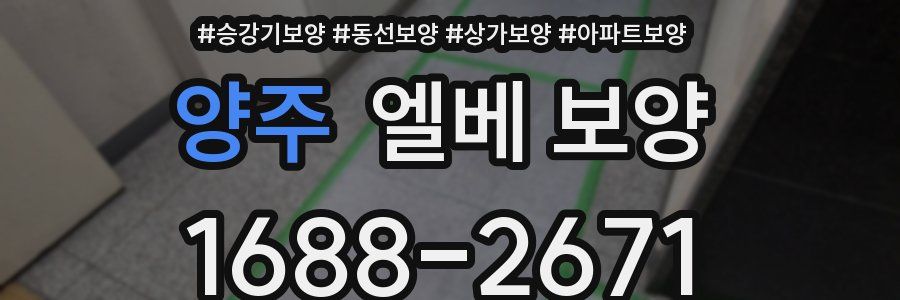 양주 엘베 보양