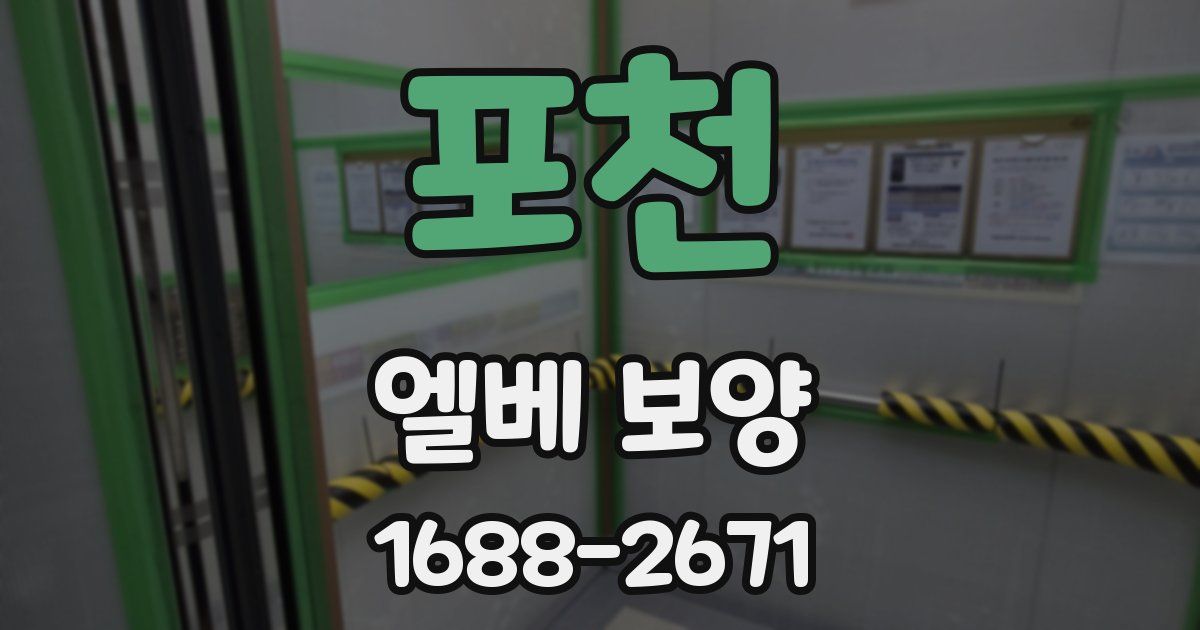 포천 엘베 보양