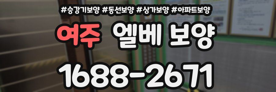 여주 엘베 보양