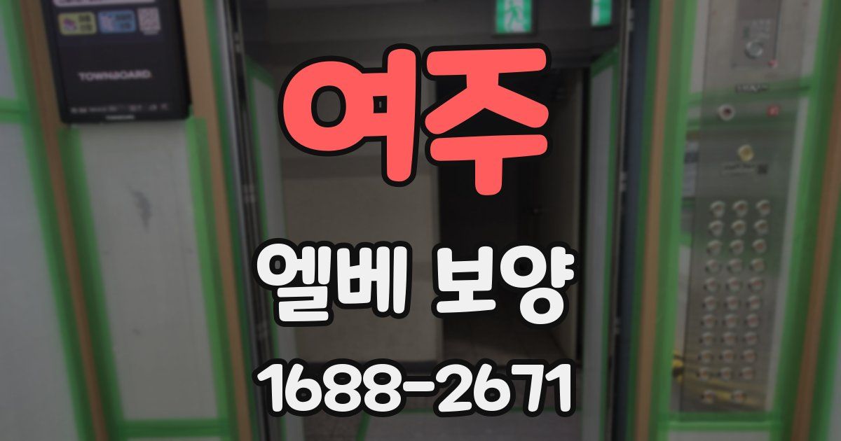 여주 엘베 보양
