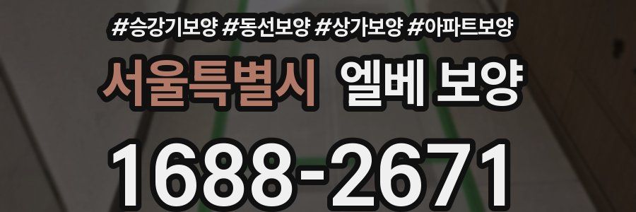서울특별시 엘베 보양