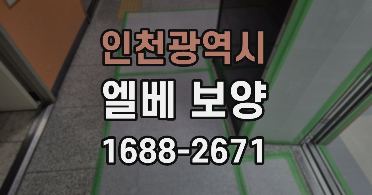 인천광역시 엘베 보양