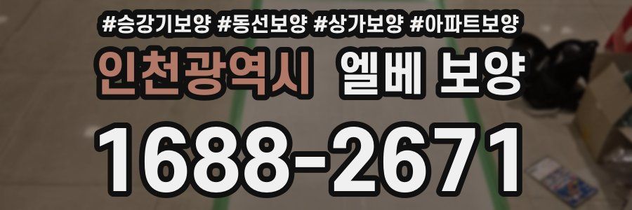 인천광역시 엘베 보양
