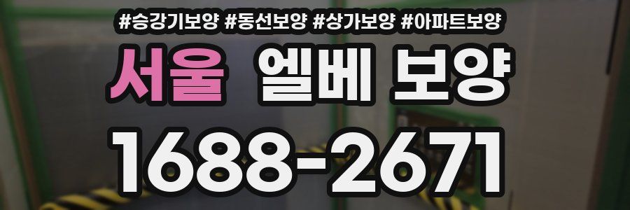 서울 엘베 보양
