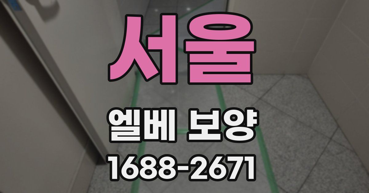 서울 엘베 보양