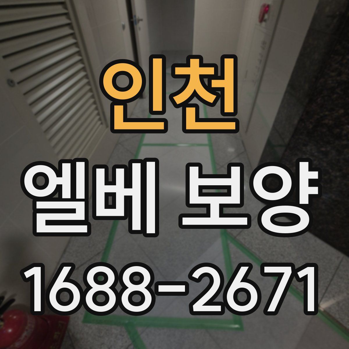 인천 엘베 보양
