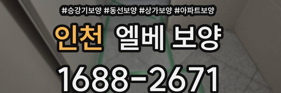 인천 엘베 보양