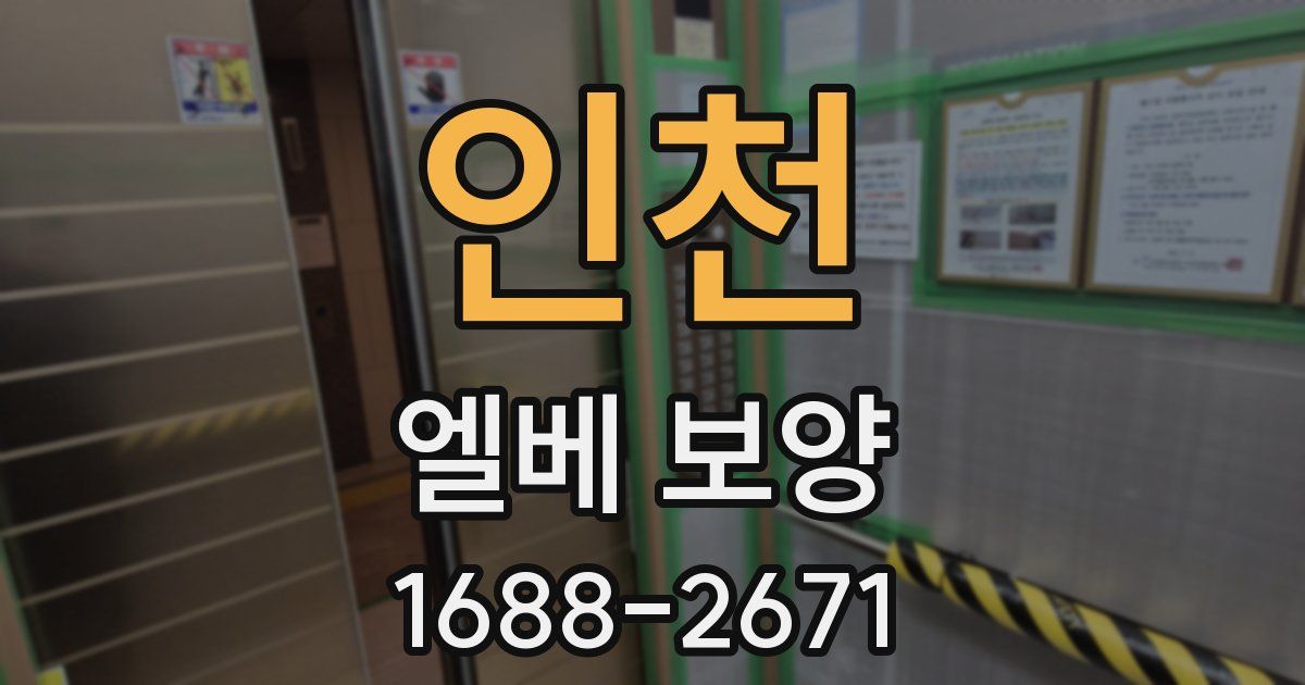 인천 엘베 보양