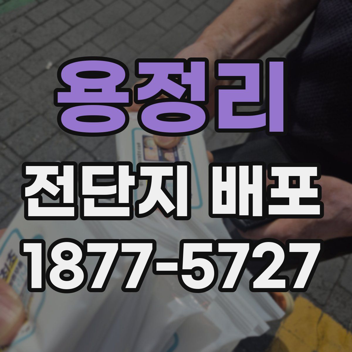 용정리 전단지 배포