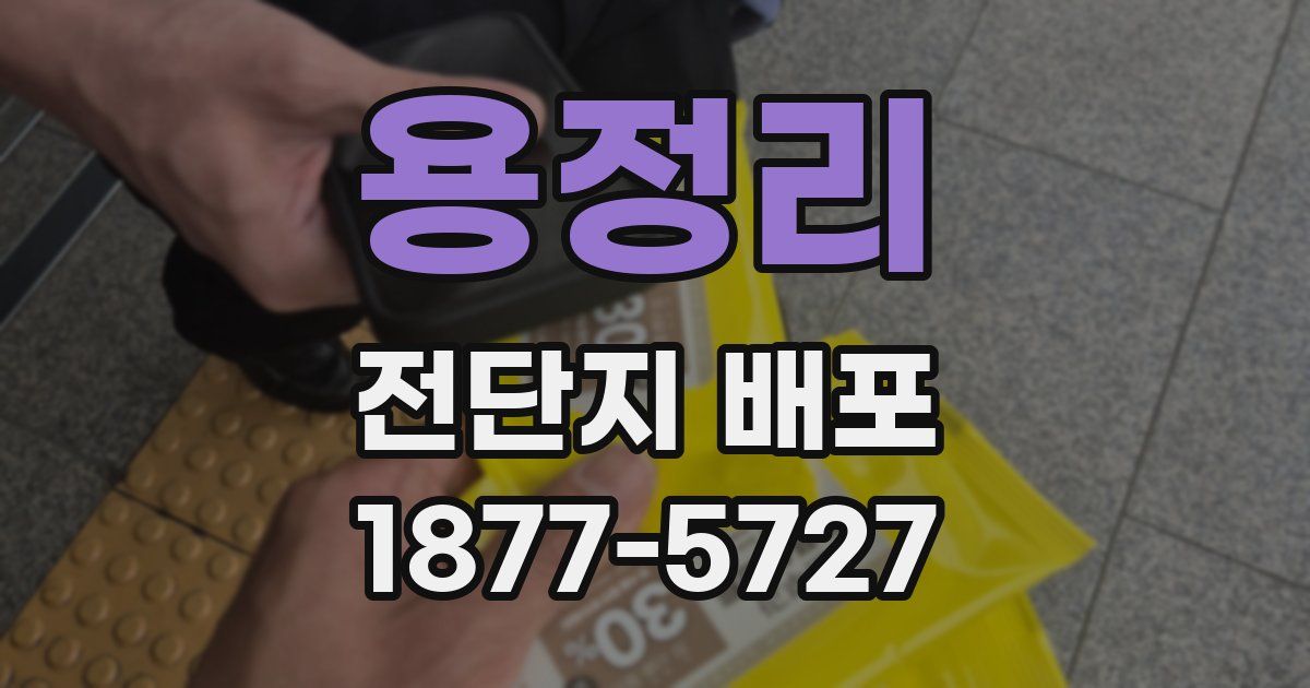 용정리 전단지 배포